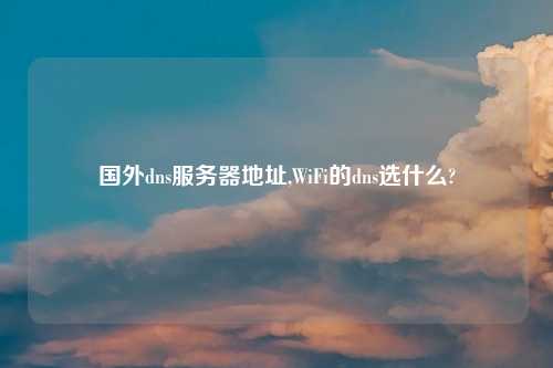 国外dns服务器地址,WiFi的dns选什么?