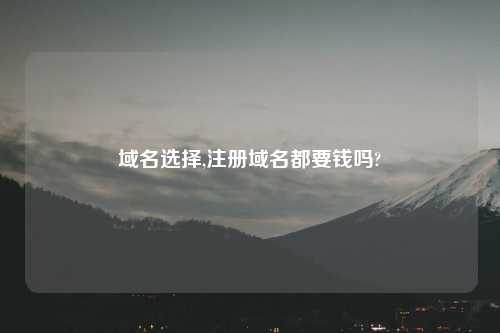 域名选择,注册域名都要钱吗?