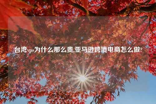 台湾vps为什么那么贵,亚马逊跨境电商怎么做?