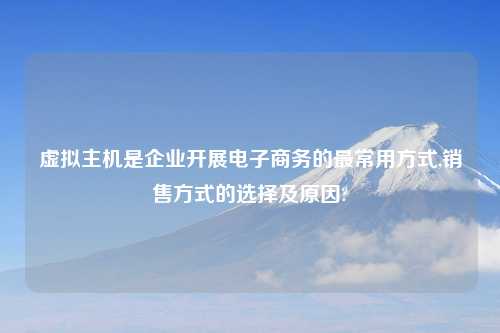 虚拟主机是企业开展电子商务的最常用方式,销售方式的选择及原因?
