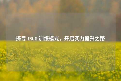 探寻 CSGO 训练模式,开启实力提升之路