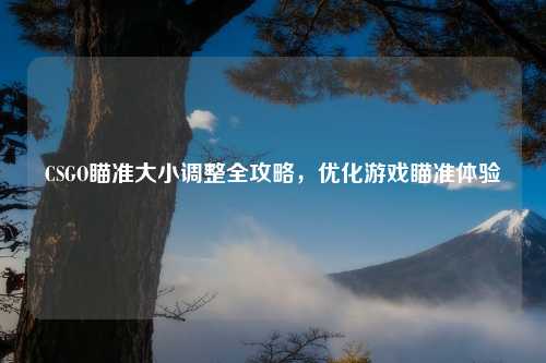 CSGO瞄准大小调整全攻略，优化游戏瞄准体验