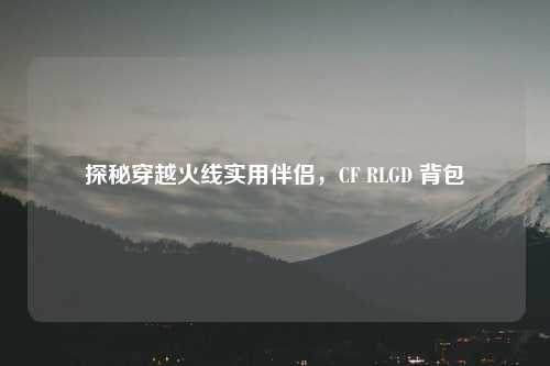 探秘穿越火线实用伴侣,CF RLGD 背包