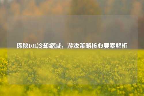 探秘LOL冷却缩减,游戏策略核心要素解析