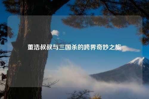 董浩叔叔与三国杀的跨界奇妙之旅