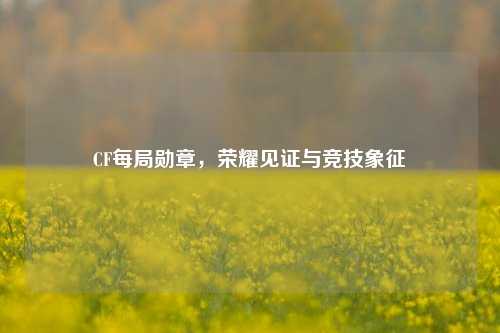 CF每局勋章，荣耀见证与竞技象征