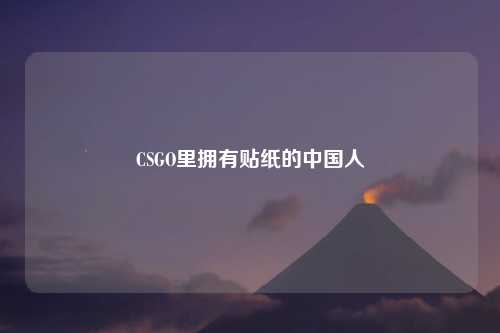CSGO里拥有贴纸的中国人