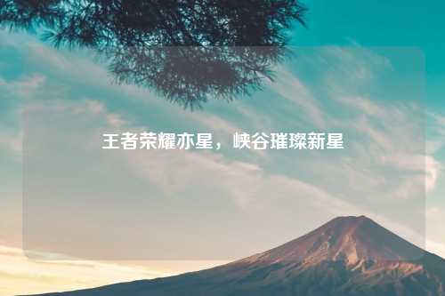 王者荣耀亦星，峡谷璀璨新星