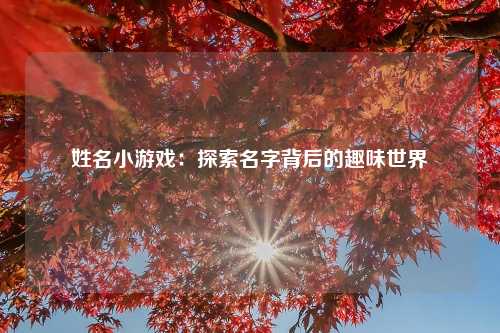 姓名小游戏：探索名字背后的趣味世界