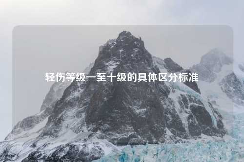 轻伤等级一至十级的具体区分标准