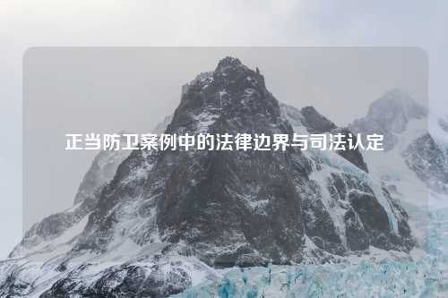 正当防卫案例中的法律边界与司法认定