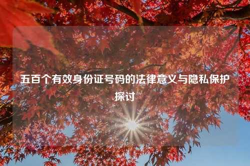 五百个有效身份证号码的法律意义与隐私保护探讨