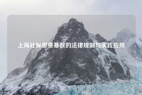 上海社保缴费基数的法律规制与实践应用