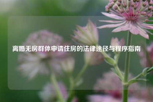 离婚无房群体申请住房的法律途径与程序指南