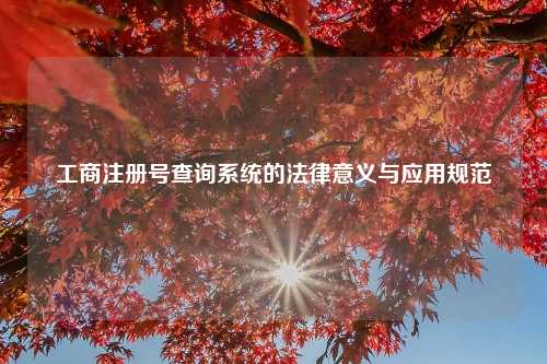 工商注册号查询系统的法律意义与应用规范