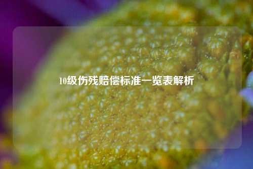 10级伤残赔偿标准一览表解析