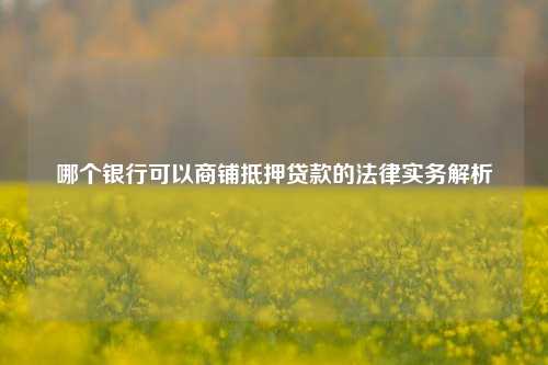 哪个银行可以商铺抵押贷款的法律实务解析