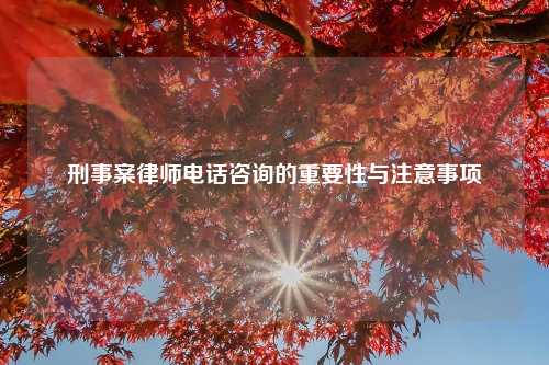 刑事案律师电话咨询的重要性与注意事项