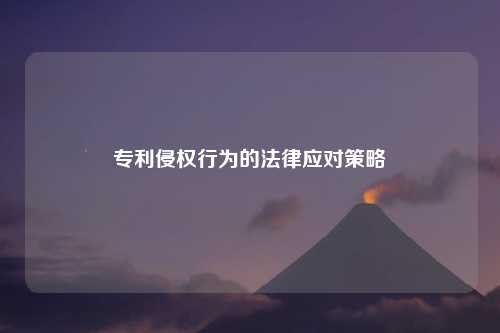 专利侵权行为的法律应对策略