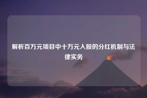 解析百万元项目中十万元入股的分红机制与法律实务