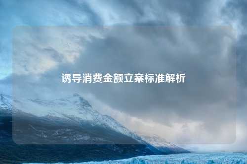诱导消费金额立案标准解析
